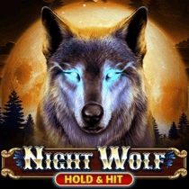 Night Wolf Hold and Hit: Spannender Nacht-Slot